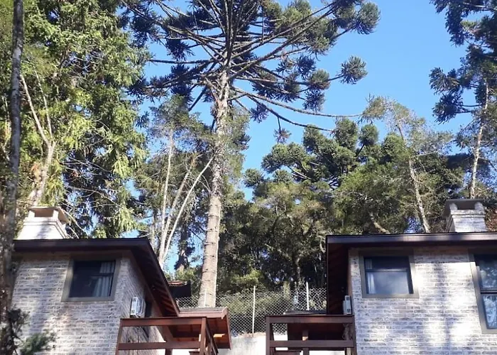 Villa Pinhas E Flores